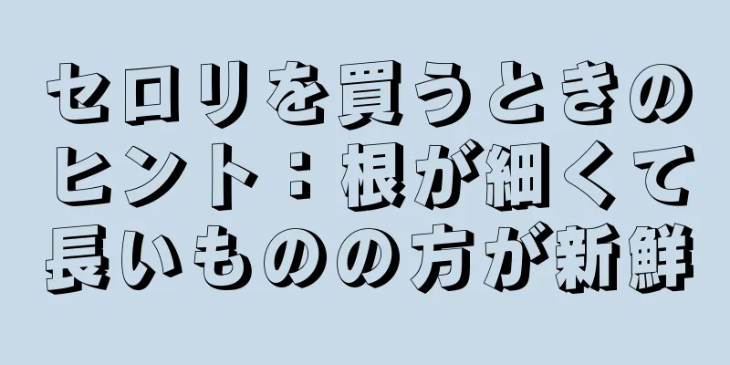 セロリを買うときのヒント：根が細くて長いものの方が新鮮