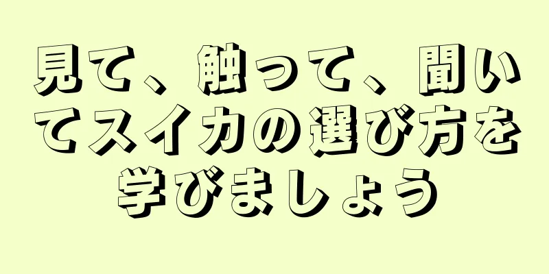 見て、触って、聞いてスイカの選び方を学びましょう