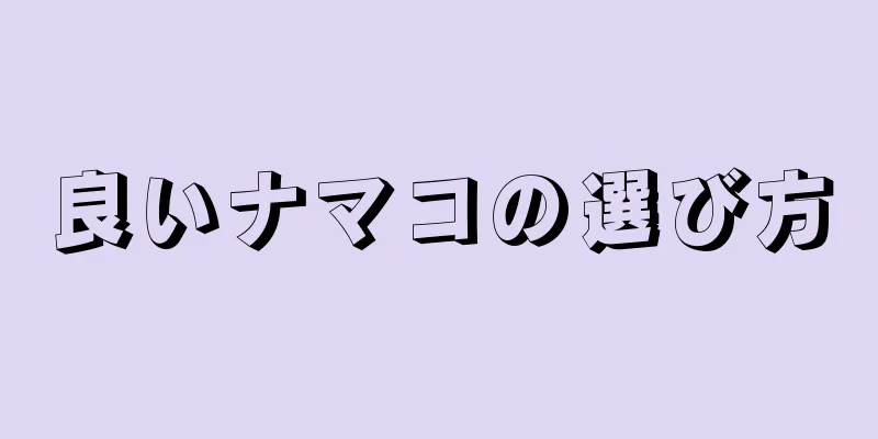 良いナマコの選び方