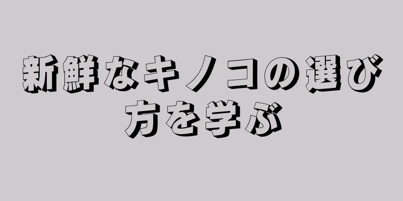 新鮮なキノコの選び方を学ぶ