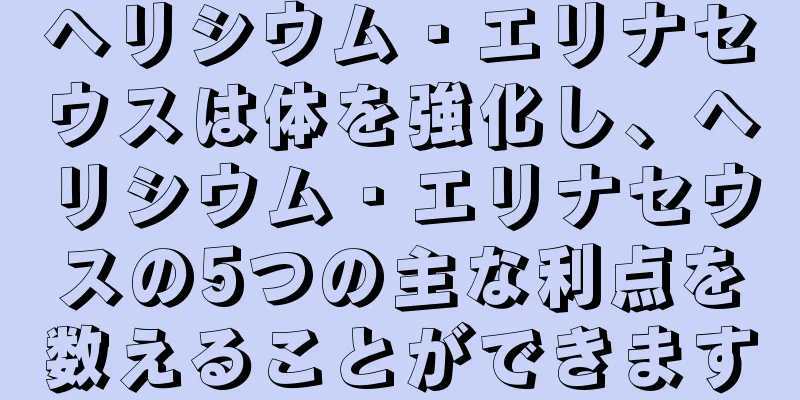 ヘリシウム・エリナセウスは体を強化し、ヘリシウム・エリナセウスの5つの主な利点を数えることができます