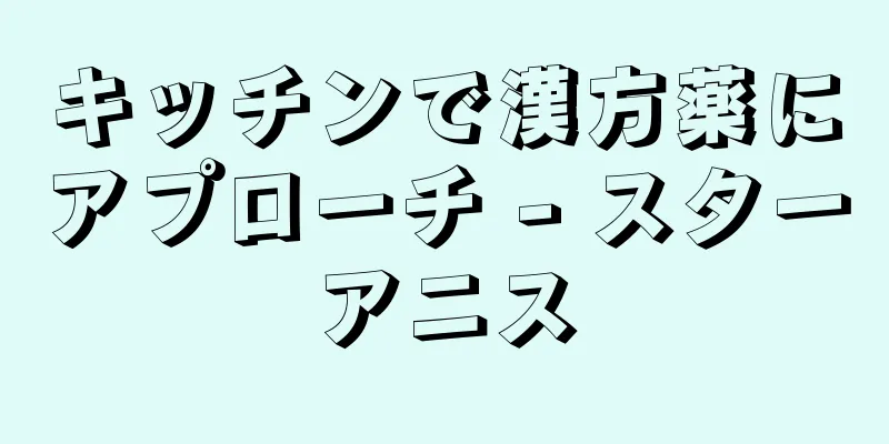 キッチンで漢方薬にアプローチ - スターアニス