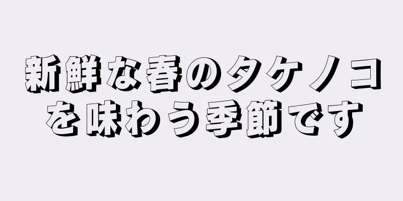 新鮮な春のタケノコを味わう季節です