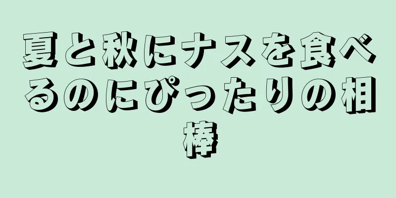 夏と秋にナスを食べるのにぴったりの相棒