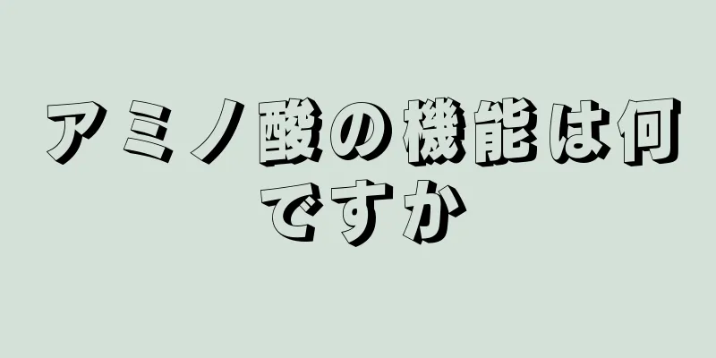 アミノ酸の機能は何ですか