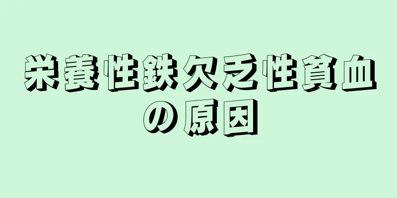 栄養性鉄欠乏性貧血の原因