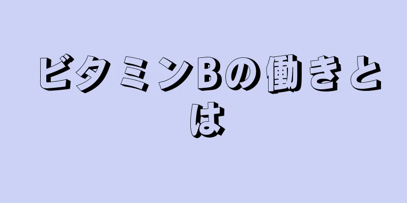 ビタミンBの働きとは