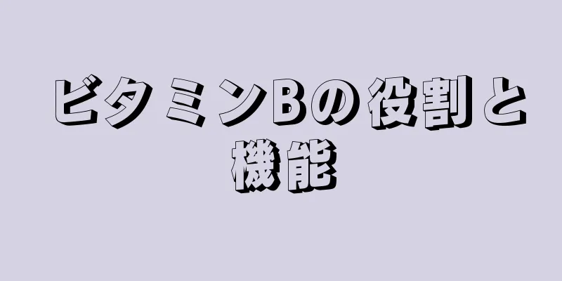 ビタミンBの役割と機能