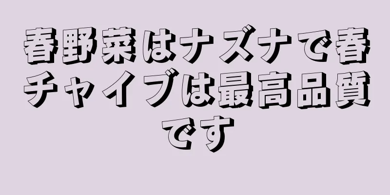 春野菜はナズナで春チャイブは最高品質です