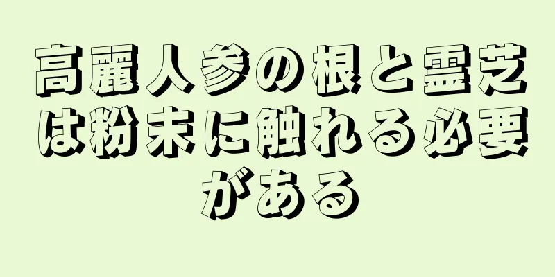 高麗人参の根と霊芝は粉末に触れる必要がある