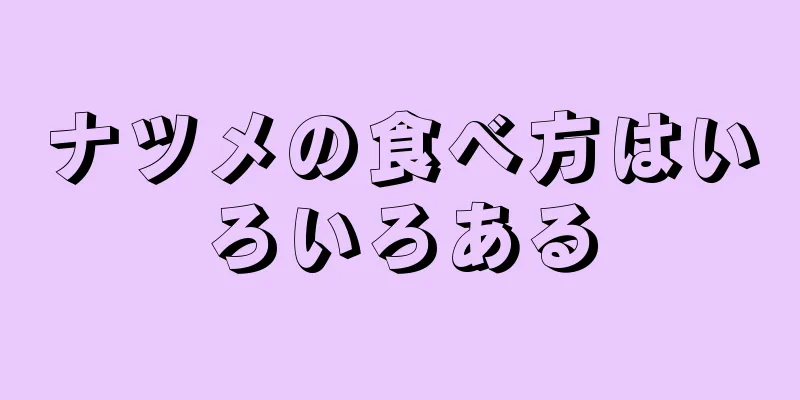 ナツメの食べ方はいろいろある