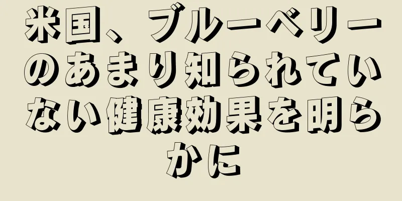 米国、ブルーベリーのあまり知られていない健康効果を明らかに