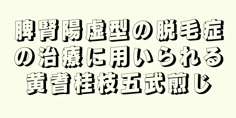 脾腎陽虚型の脱毛症の治療に用いられる黄耆桂枝五武煎じ