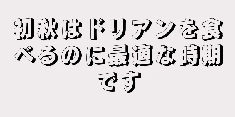 初秋はドリアンを食べるのに最適な時期です