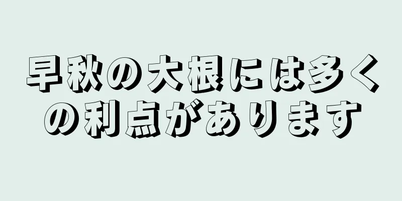 早秋の大根には多くの利点があります