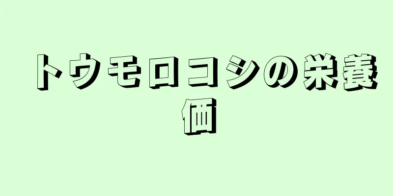 トウモロコシの栄養価